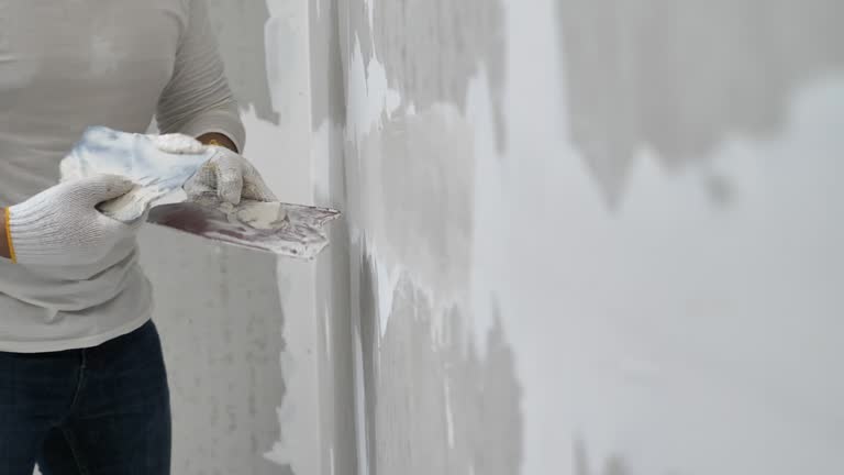 Best Drywall Texturing  in Monona, IA